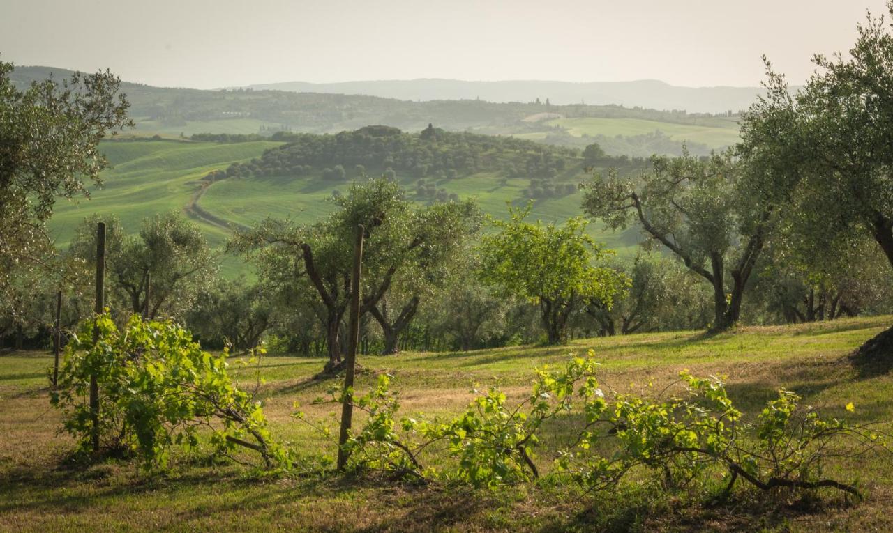 Holiday Home Arpicella Pienza Eksteriør bilde
